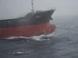 日本稱失蹤貨輪成海盜“母艦”